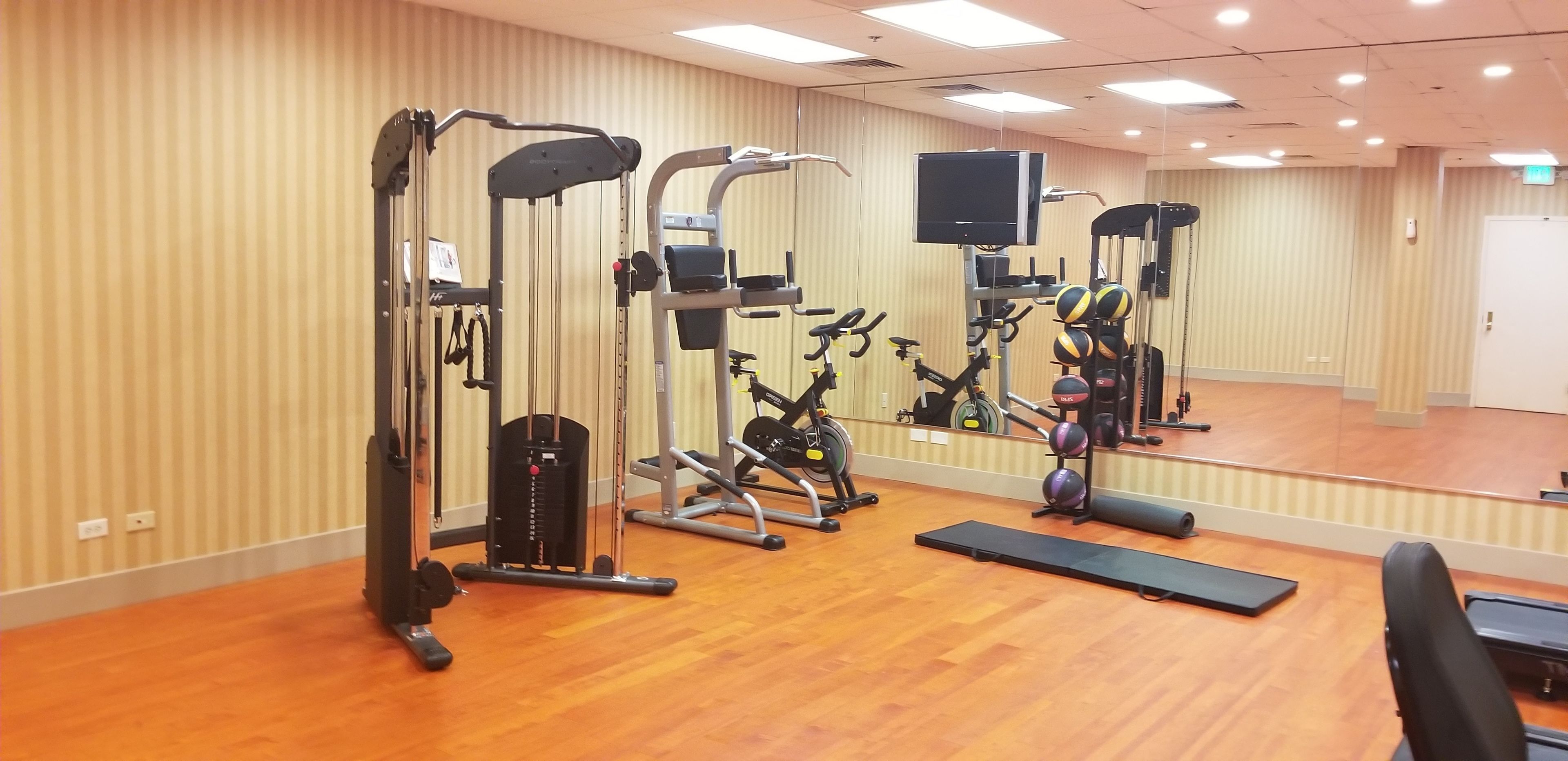Une salle de sport équipée de machines de cardio, de matériel de musculation et dotée d’un mur entièrement recouvert de miroirs.