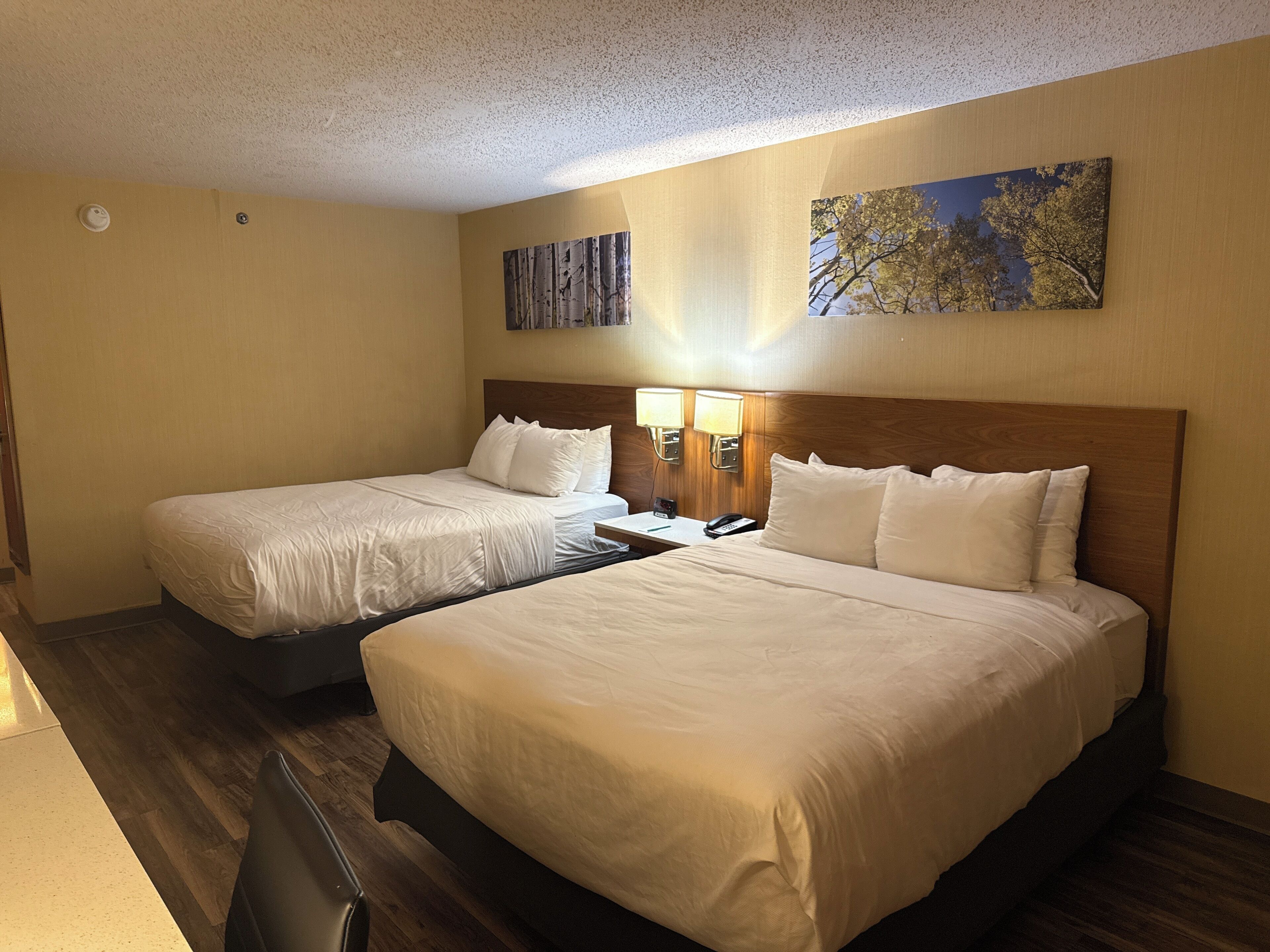 Standard Room, 2 Queen Beds, Non Smoking | Premium bedding, desk, blackout drapes, iron/ironing board