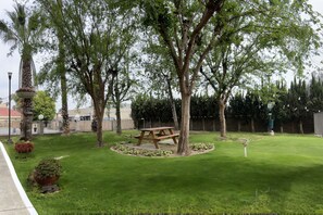 Jardín