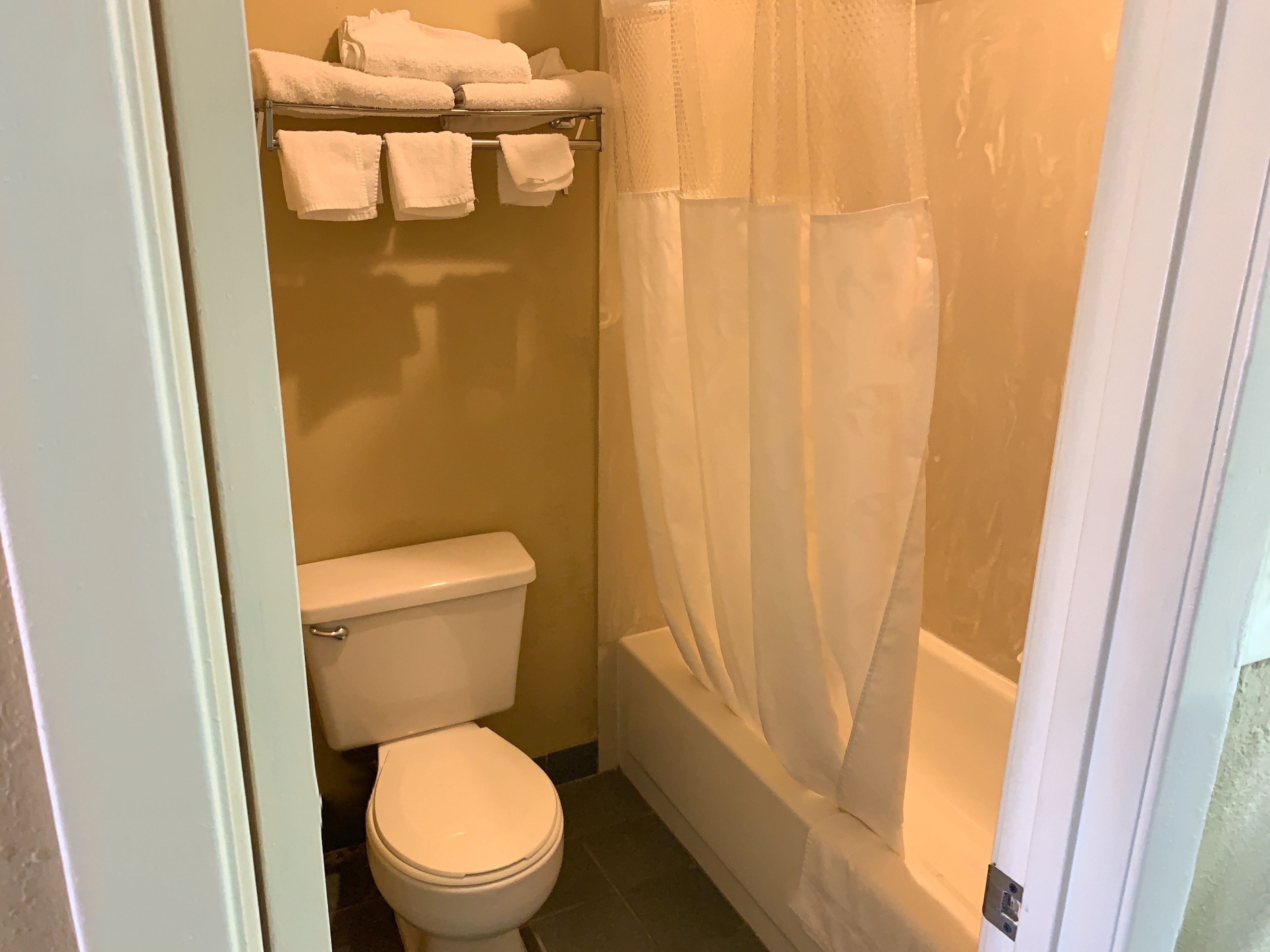 Eco-friendly toiletries, hair dryer, towels