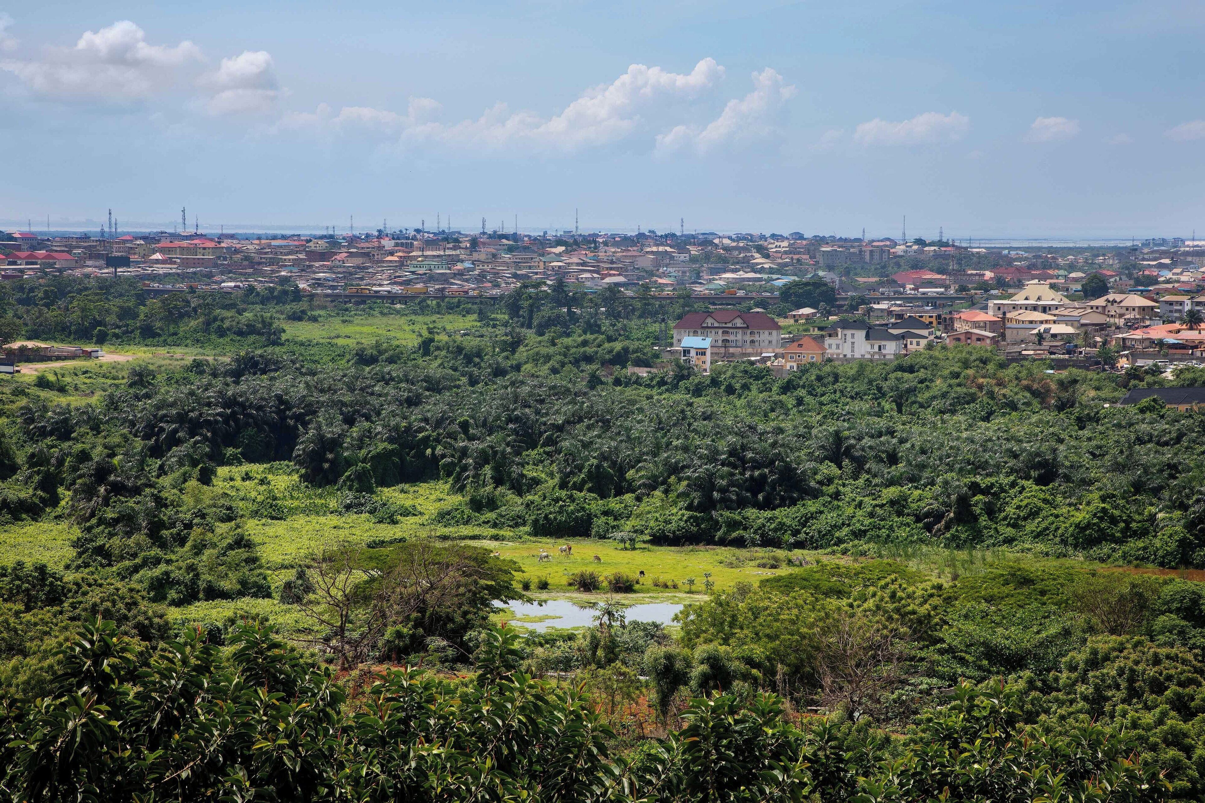 Foto - Sheraton Lagos Hotel