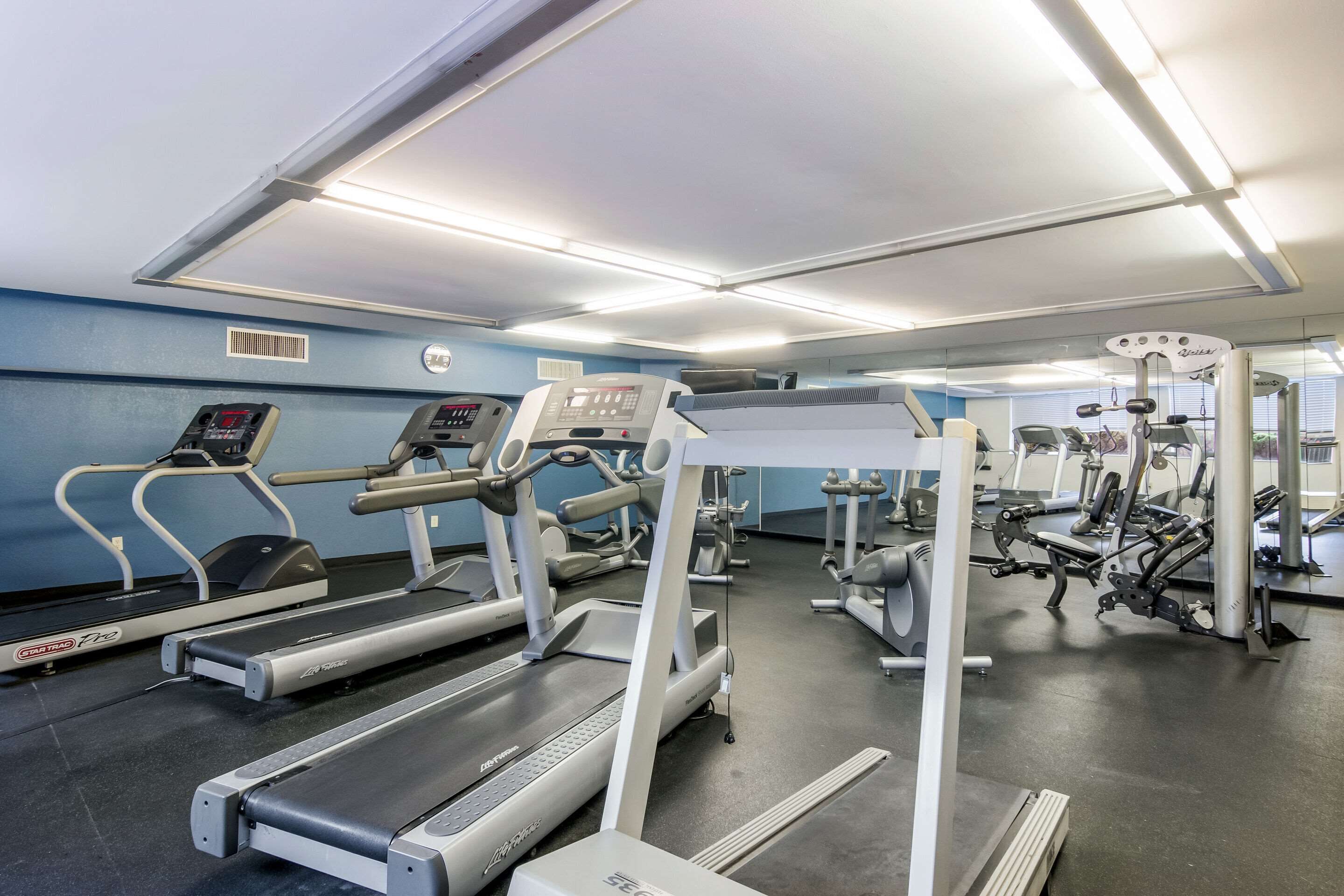 A gym with treadmills, elliptical machines, and weight equipment.
