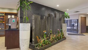 A reception area with a dark wall, a reception desk, and a planter with various plants.