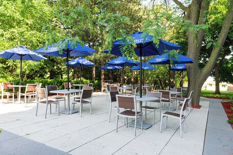 Holiday Inn Toronto Int'l Airport, an IHG Hotel - Image 4