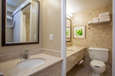 Holiday Inn Toronto Int'l Airport, an IHG Hotel - Image 21