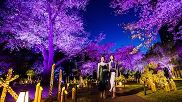 A pathway lined with illuminated cherry blossom trees and decorative lights, creating a festive atmosphere.