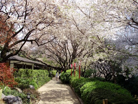 Grand Prince Hotel Shin Takanawa - Image 80