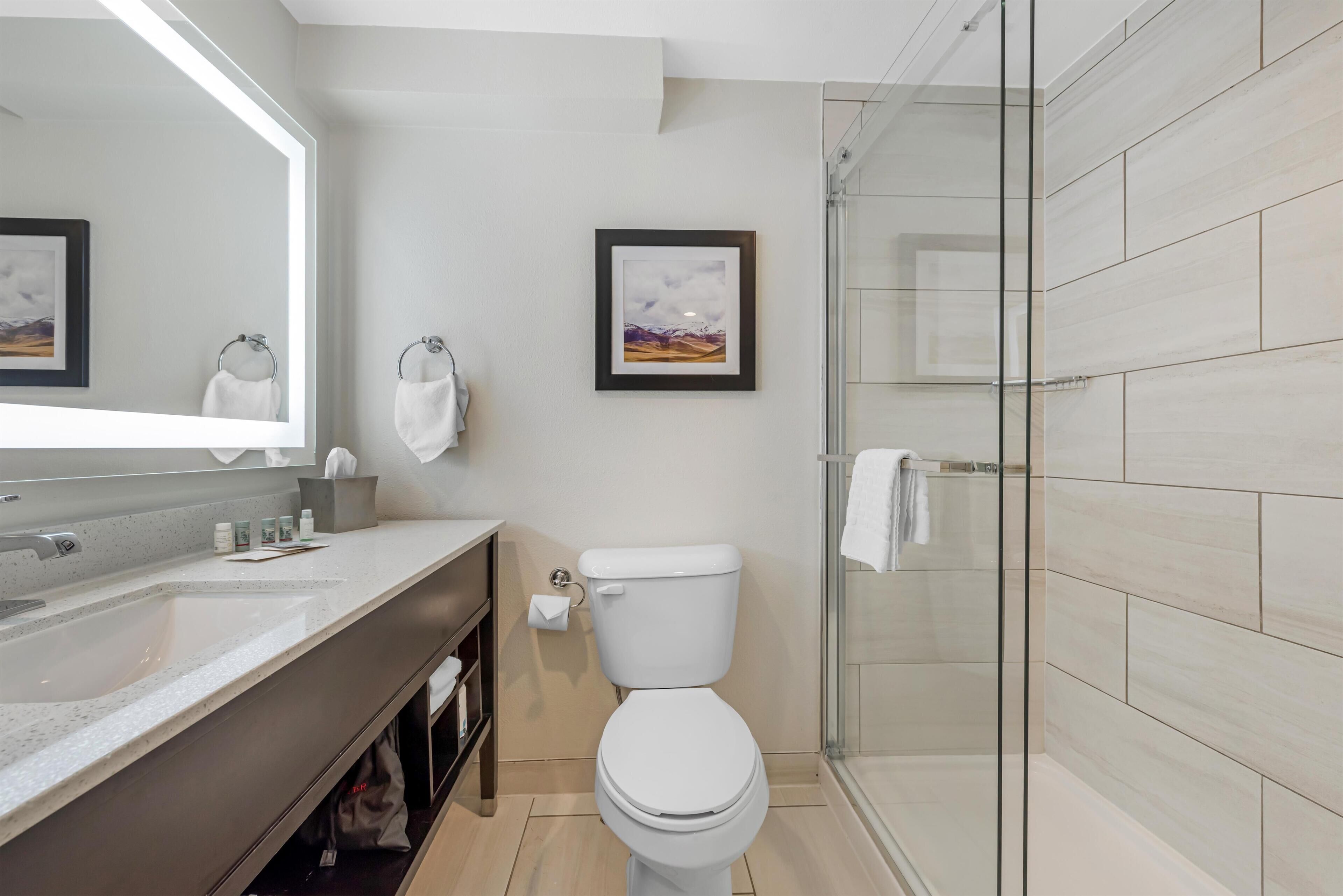 A modern bathroom with a large mirror, a toilet, a glass shower enclosure, and a framed picture on the wall.