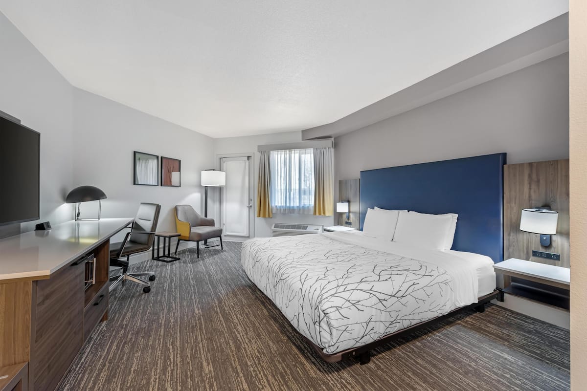 Standard Room, 1 King Bed, Accessible, Patio | Premium bedding, pillowtop beds, in-room safe, desk