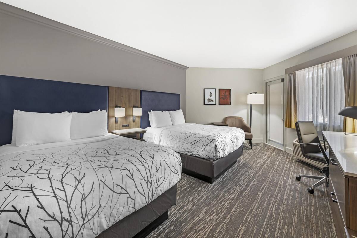 Standard Room, 2 Queen Beds, Non Smoking, Patio | Premium bedding, pillowtop beds, in-room safe, desk