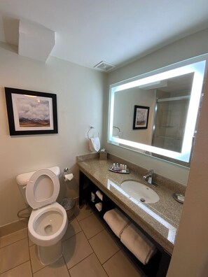 Standard Room, 1 King Bed, Kitchenette, Pool View (Shower Only) | Bathroom | Shower, designer toiletries, towels - Best Western Denver East (Denver)