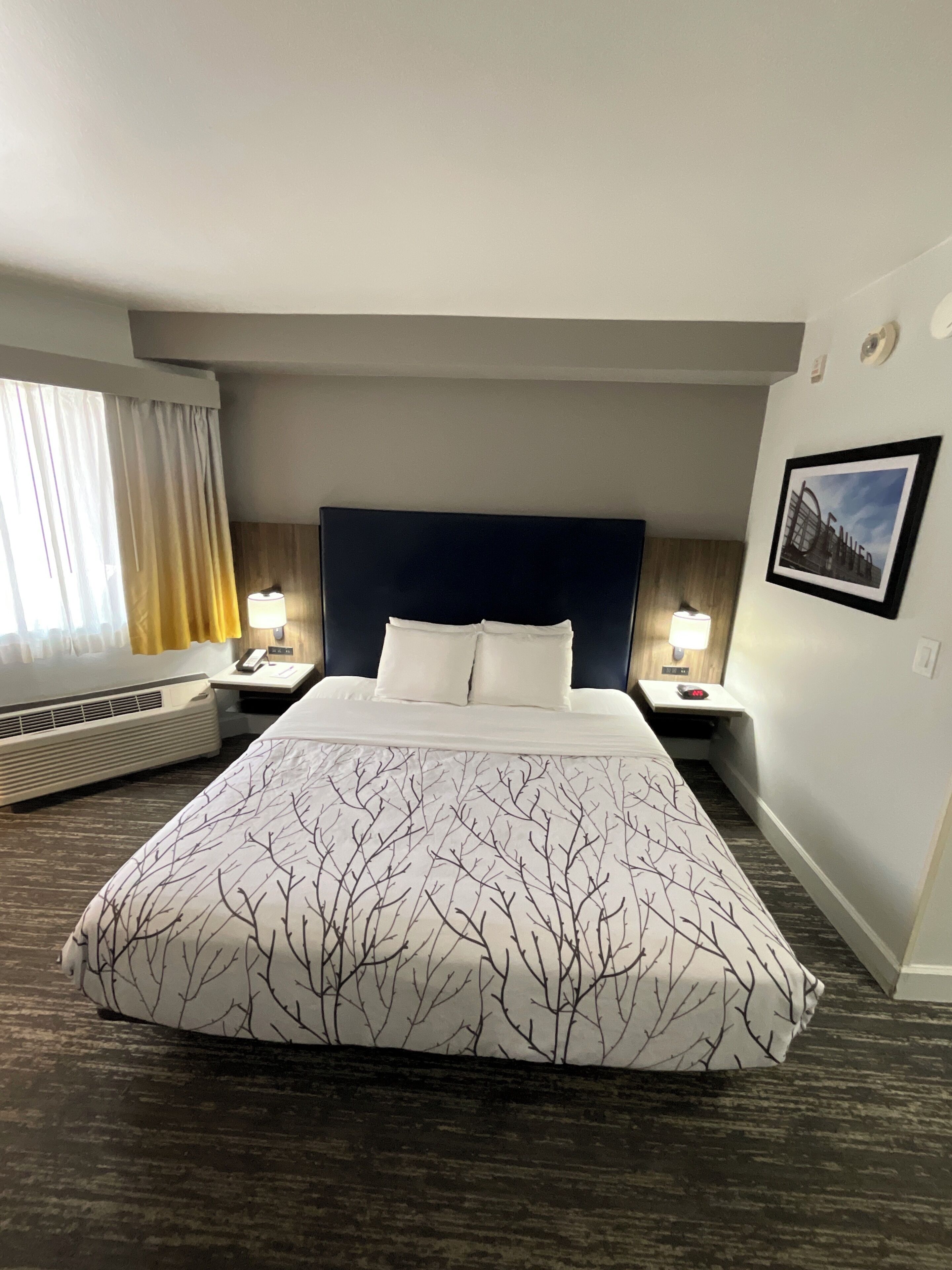 Standard Room, 1 King Bed, Accessible, Patio (Walk-in Shower) | Premium bedding, pillowtop beds, in-room safe, desk