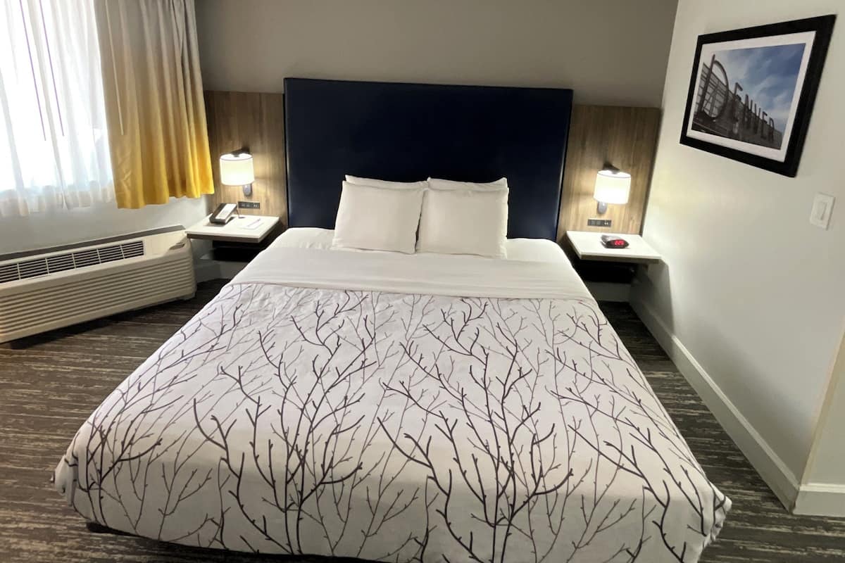 Standard Room, 1 King Bed, Accessible, Patio (Walk-in Shower) | Premium bedding, pillowtop beds, in-room safe, desk