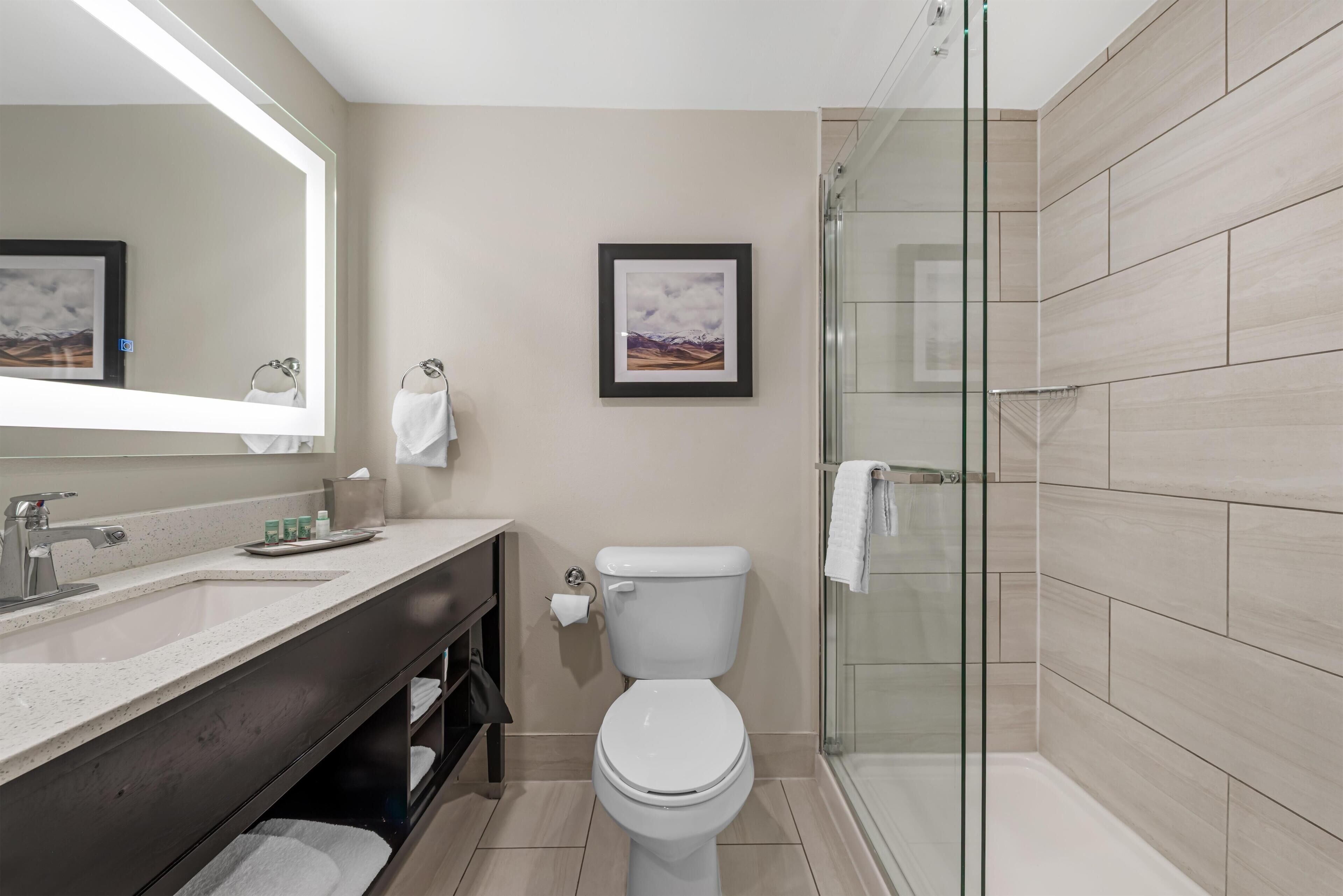 A modern bathroom with a large mirror, a toilet, a sink, and a glass shower enclosure.