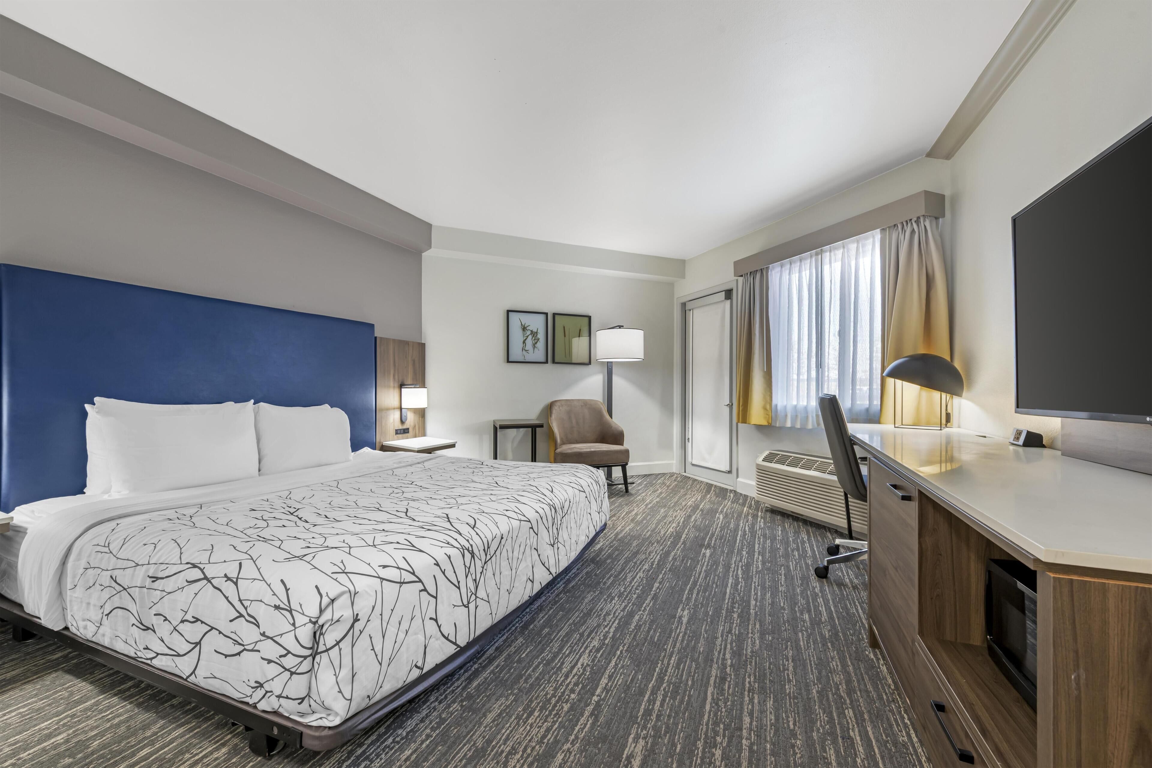 Standard Room, 1 King Bed, Accessible, Patio (Walk-in Shower) | Premium bedding, pillowtop beds, in-room safe, desk