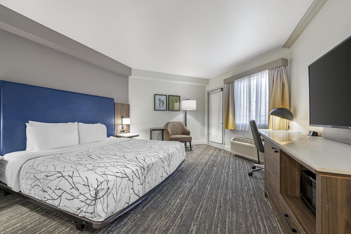 Standard Room, 1 King Bed, Accessible, Patio (Walk-in Shower) | Premium bedding, pillowtop beds, in-room safe, desk
