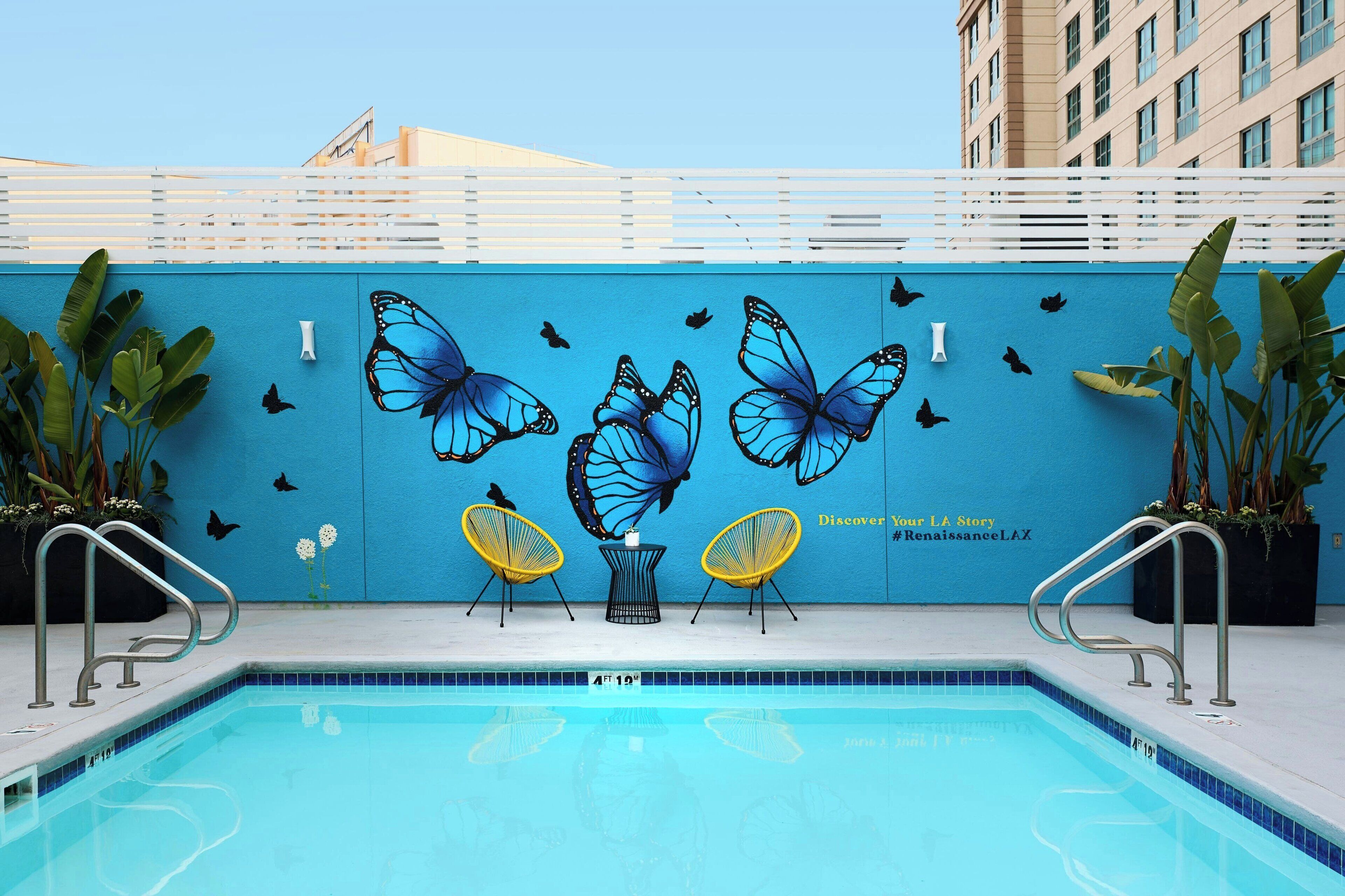 Zona de piscina con un muro azul decorado con murales de mariposas y pájaros, dos sillas amarillas y una piscina con azulejos.