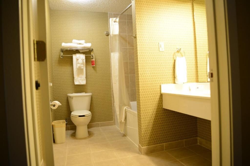 Bathroom | Combined shower/bathtub, eco-friendly toiletries, towels