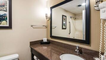A bathroom with a large mirror, a sink, a toilet, and a hairdryer.