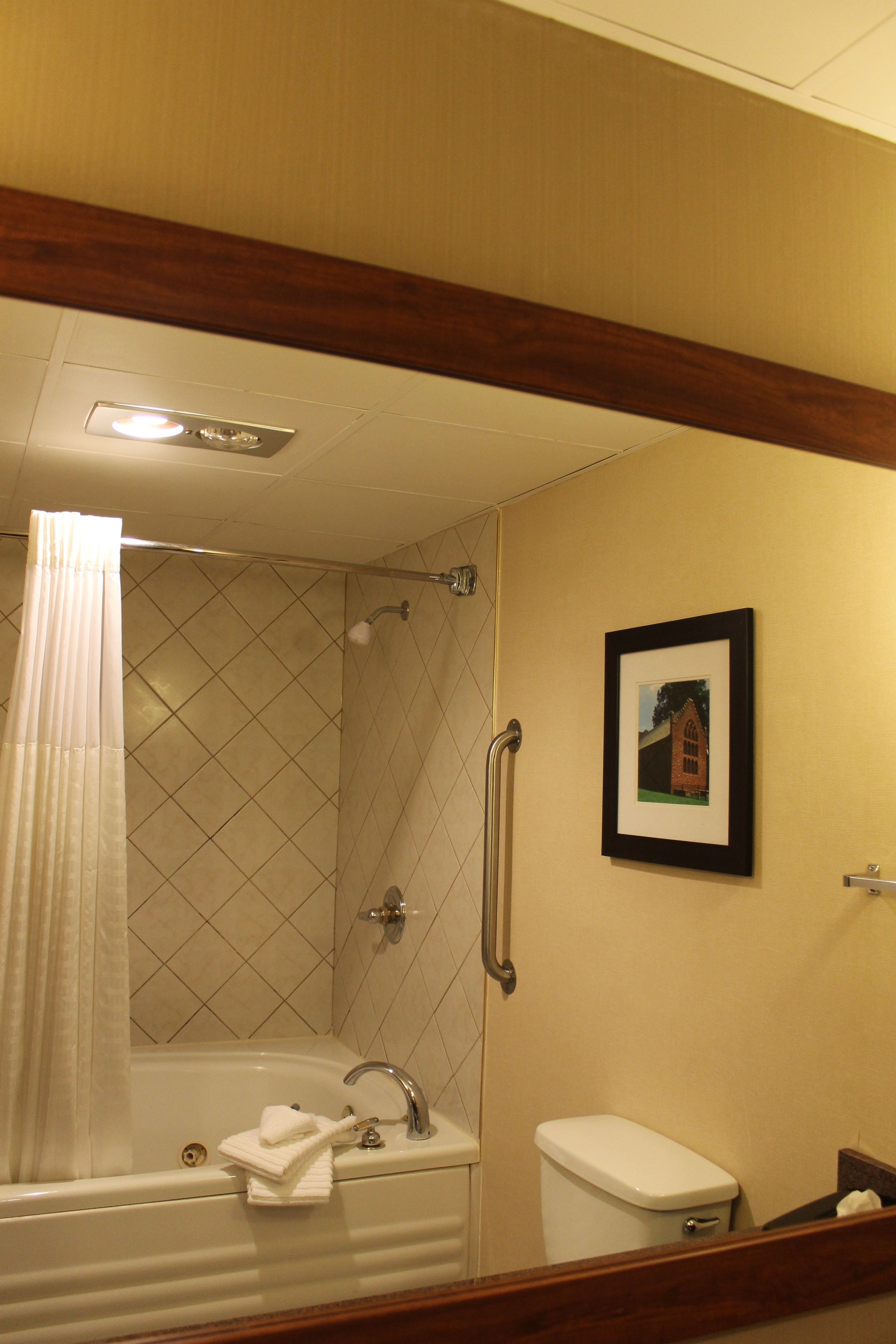 A bathroom with a bathtub, toilet, and a framed picture on the wall.