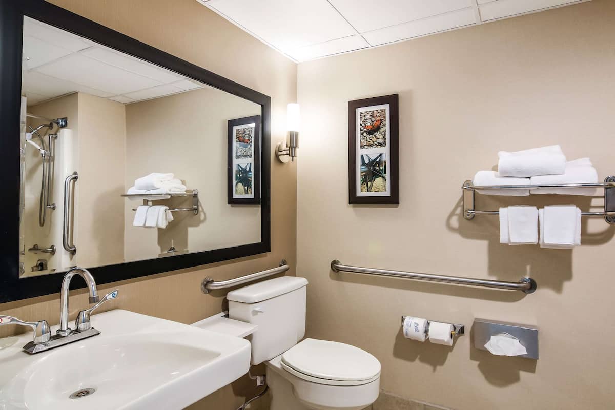 standard room, 1 king bed, accessible, non smoking (accessible tub) | in-room safe, desk, laptop workspace, iron/ironing board