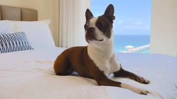 A dog sitting on a bed with a view of the ocean.