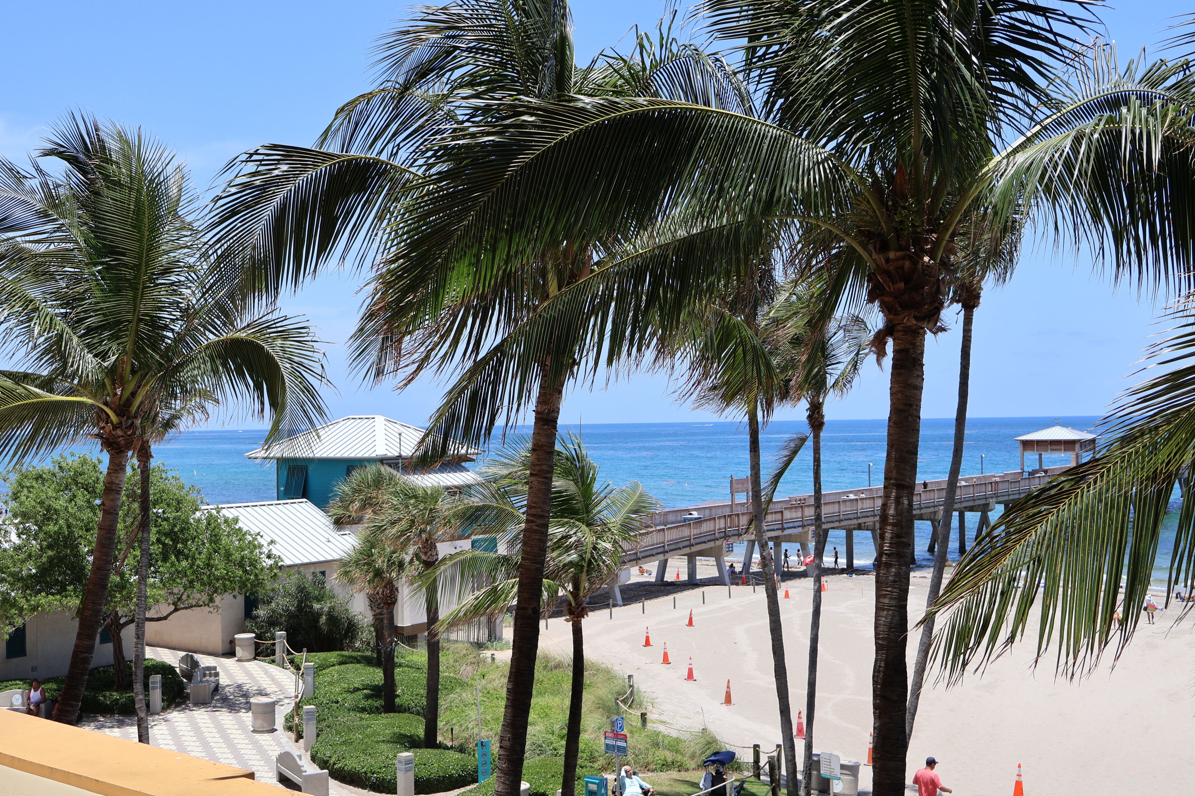 A beach view with palm trees, a pier, and a building with a blue roof.