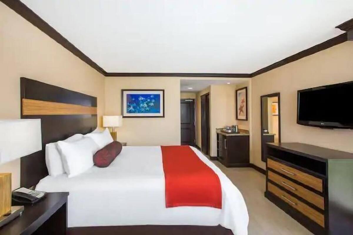 Premium bedding, in-room safe, individually decorated