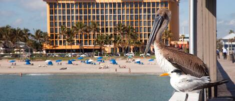 A building with a red roof and multiple windows, a beach with umbrellas, and a bird on a railing.