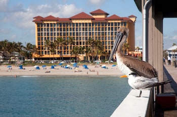 Hotel exterior and entrance at Wyndham Deerfield Beach Resort