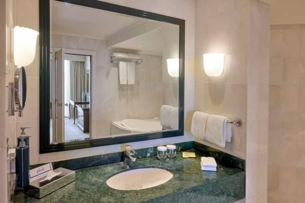 Baño | Amenidades de baño ecológicas, secadora de cabello, toallas