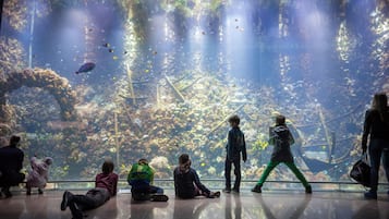 Een aquarium vol zeeleven en mensen die het bekijken.