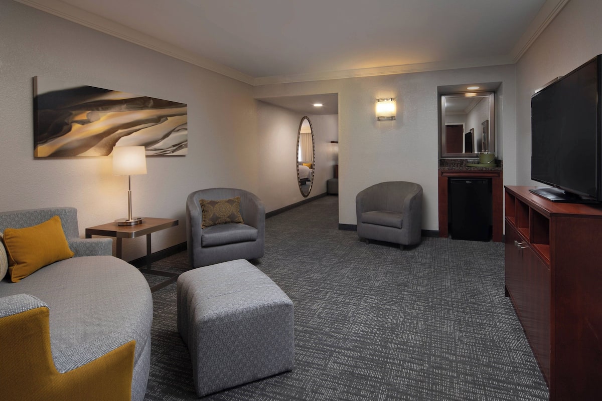 Una habitación de hotel con una cama grande, dos sillones, una mesita con lámpara, televisión y un espejo.