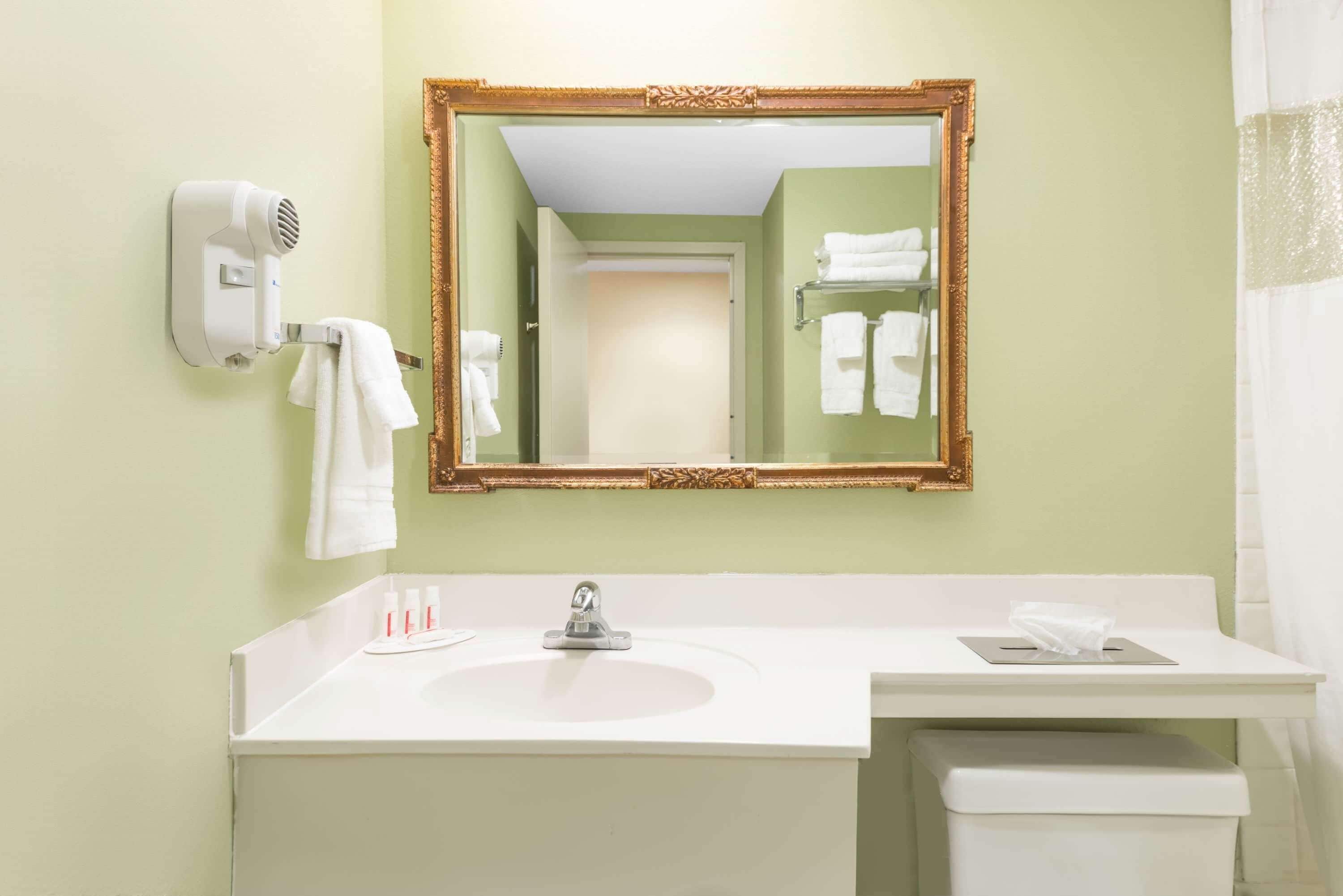 A bathroom with a white sink, a mirror with a gold frame, a hair dryer, and a towel rack.