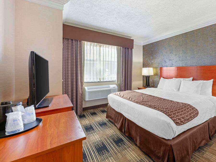 A hotel room with a large bed, a desk with a television, a window with curtains, and a wall with a bamboo pattern.