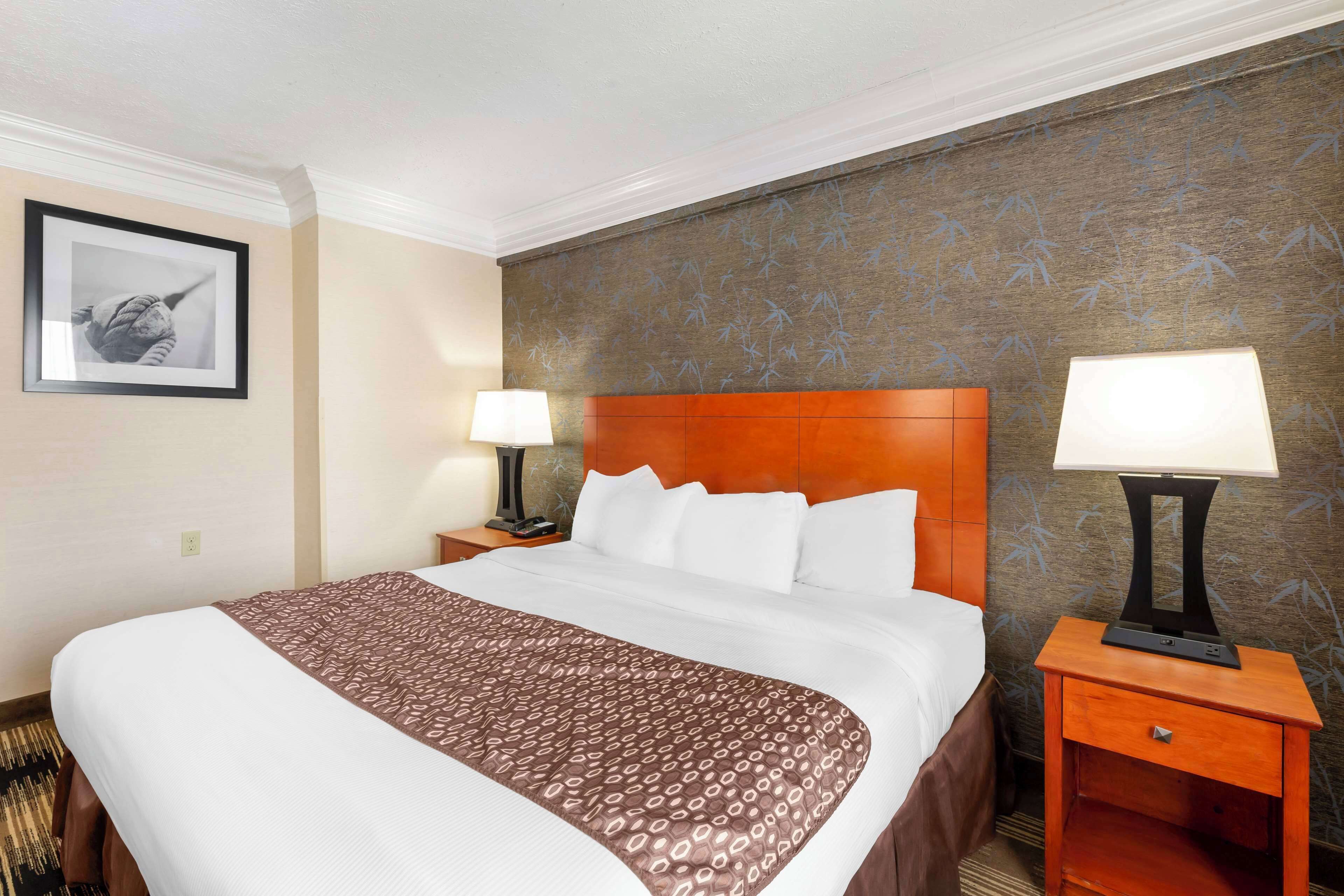 A hotel room with a large bed, two bedside tables, a nightstand, a framed picture on the wall, and a patterned wall.