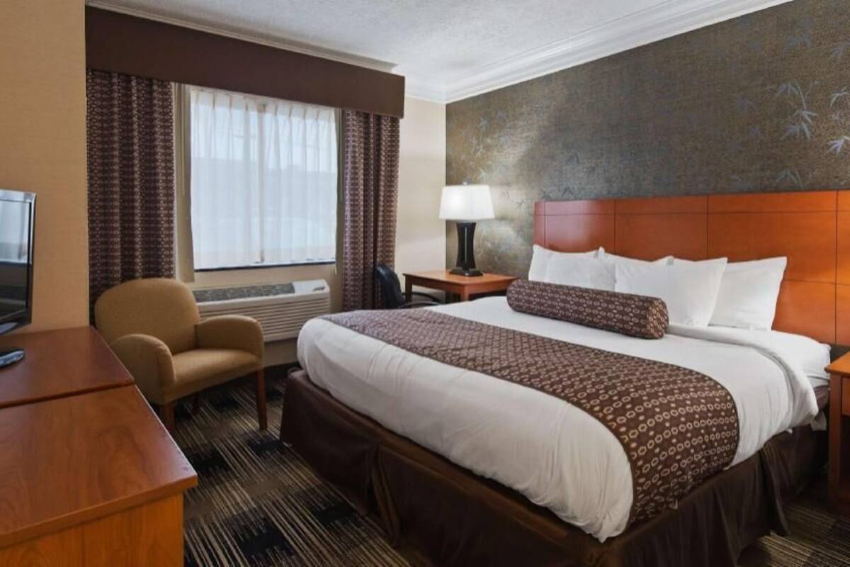 A hotel room with a bed, a TV, a desk, a chair, and a window with curtains.