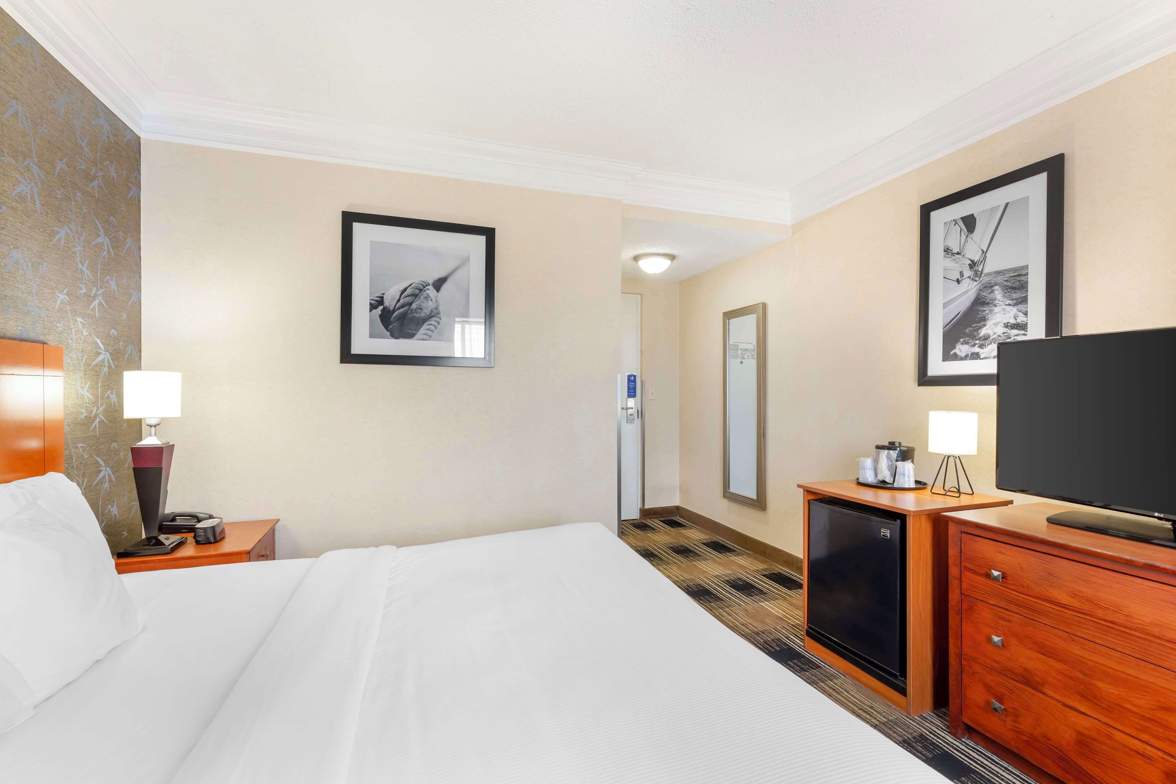 executive room, 1 king bed, non smoking, refrigerator (living room;with sofabed) | individually furnished, desk, laptop workspace, iron/ironing board