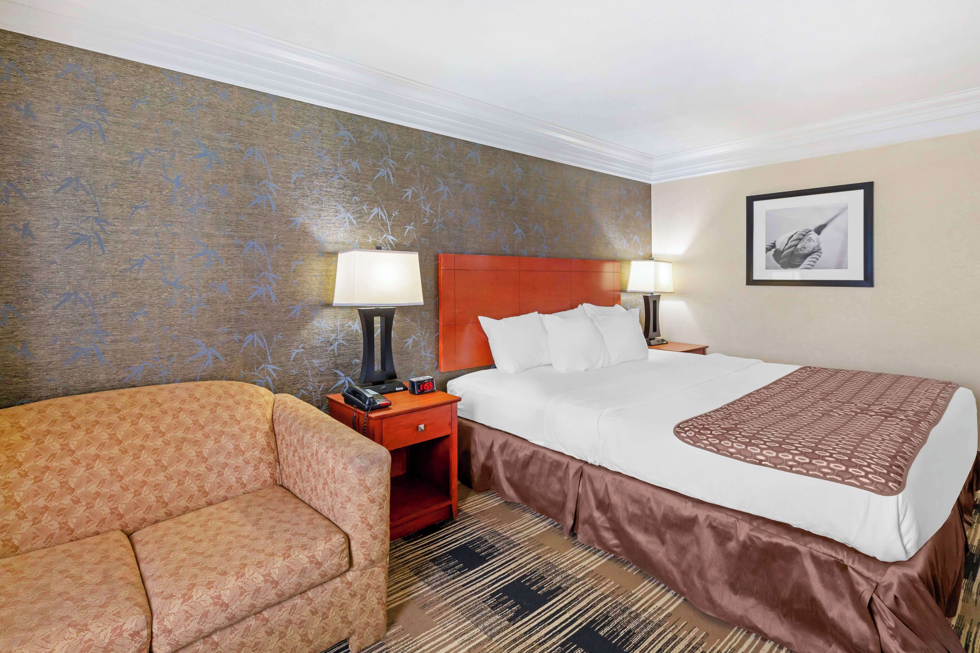 Une chambre d’hôtel avec un grand lit, deux tables de chevet avec des lampes, un canapé et un mur décoré d’un motif.