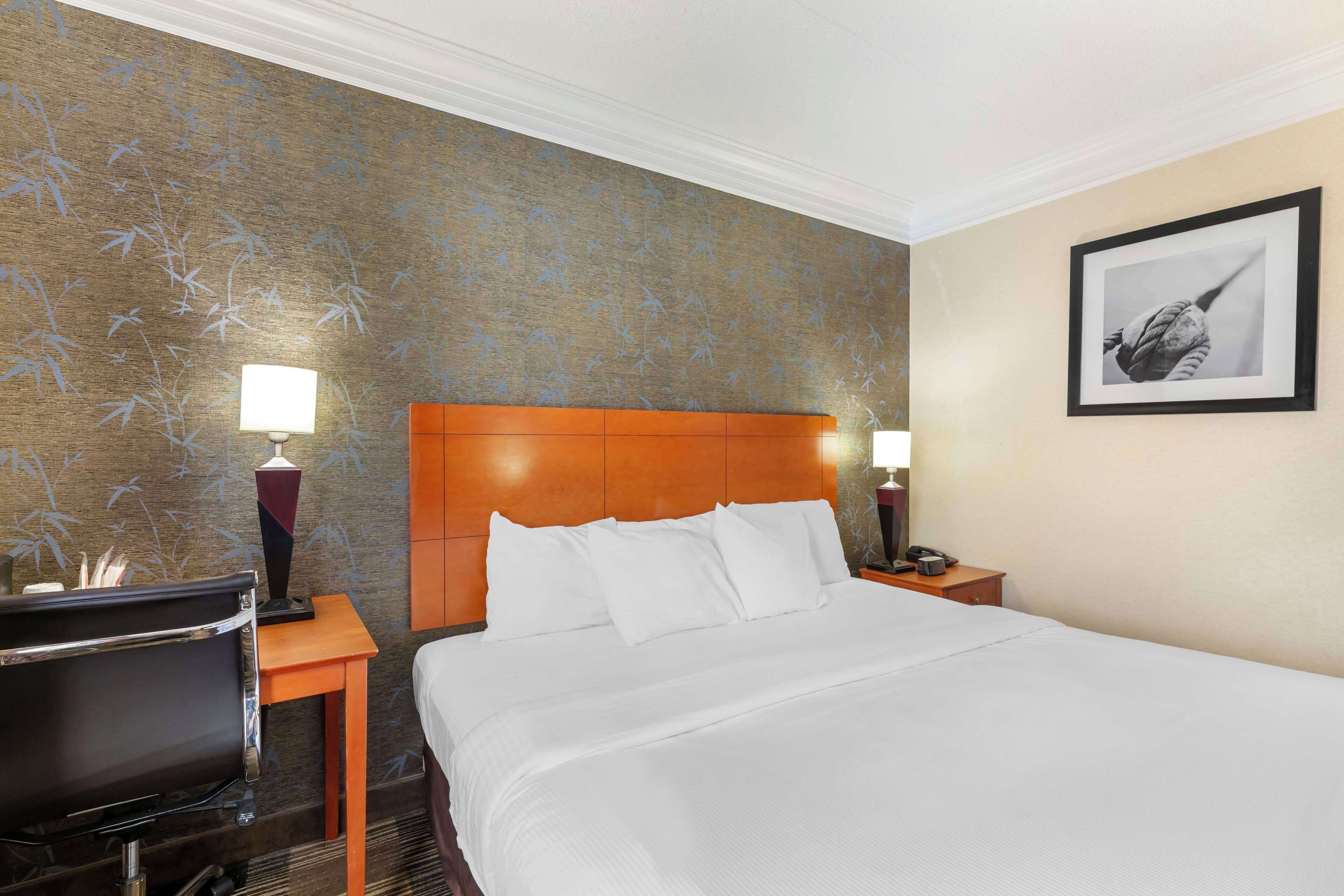 standard room, 1 king bed, accessible, refrigerator | individually furnished, desk, laptop workspace, iron/ironing board