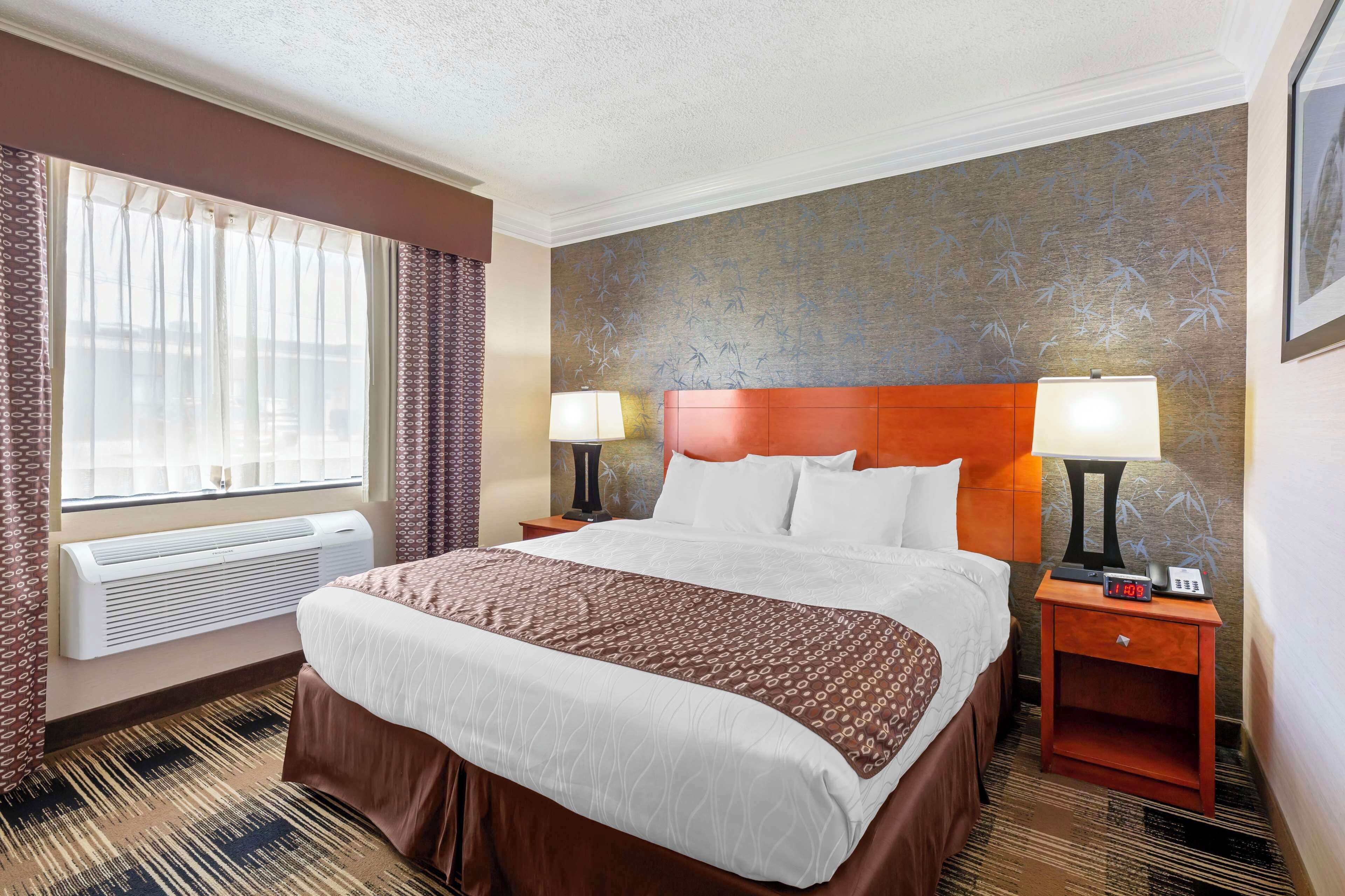 Standard Room, 1 King Bed, Non Smoking, Refrigerator | Individually furnished, desk, laptop workspace, iron/ironing board