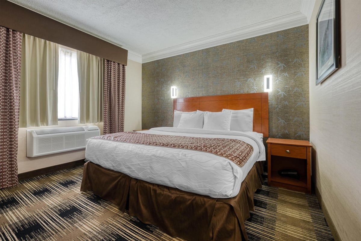 Suite, 1 llit de matrimoni gran, no fumadors, frigorífic (with Sofabed) | Mobiliari individual i escriptori