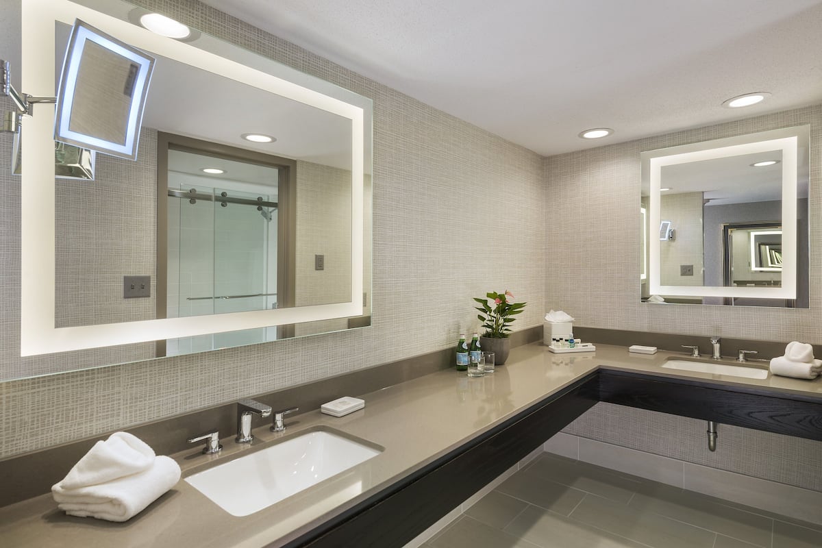 combined shower/bathtub, free toiletries, hair dryer, towels