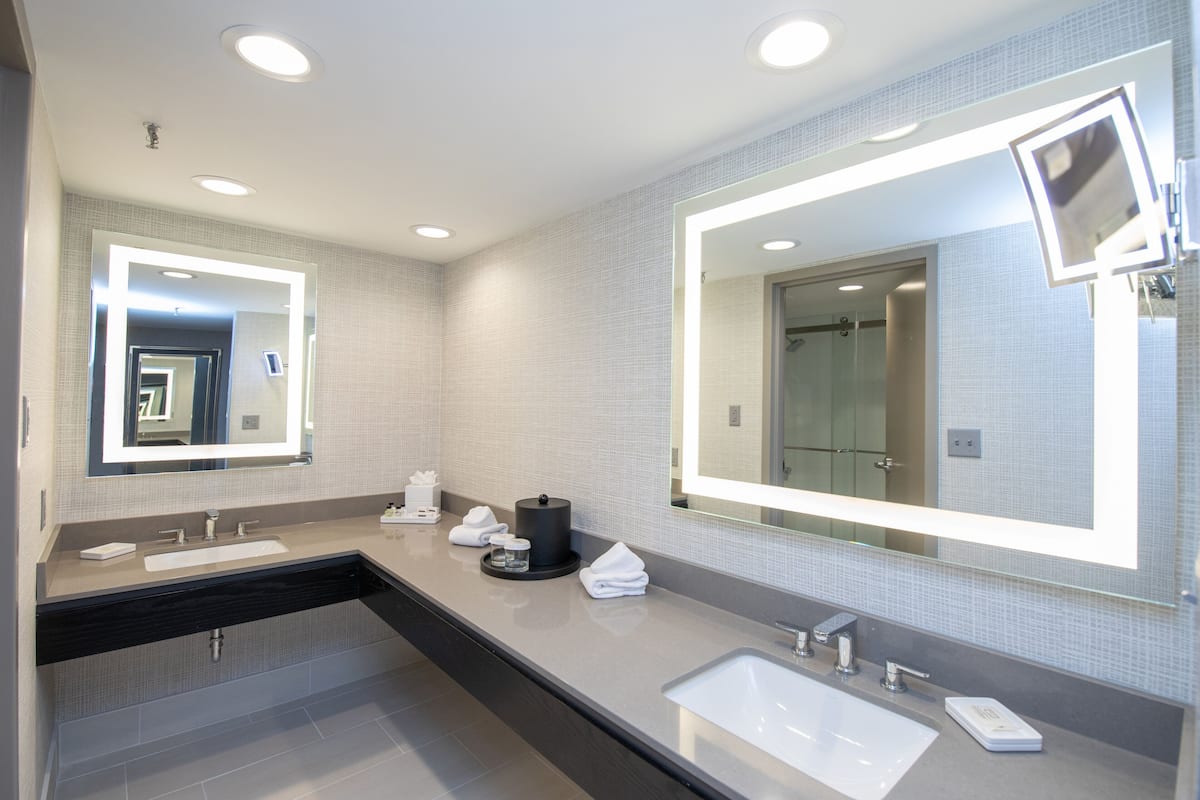 combined shower/bathtub, free toiletries, hair dryer, towels