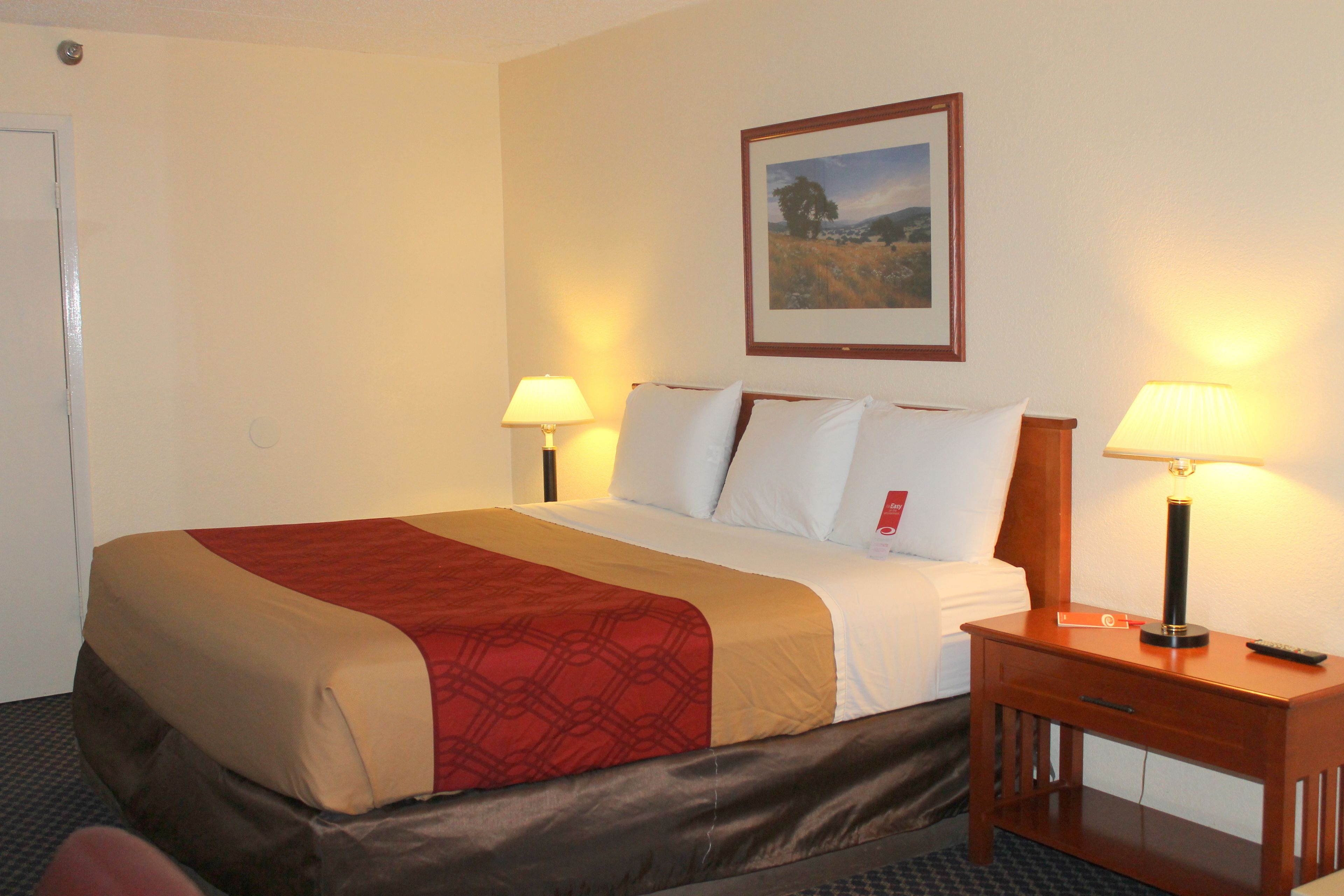 Een hotelkamer met een bed, twee bedlampjes, een nachtkastje en een ingelijst schilderij aan de muur.