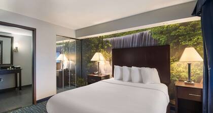 Clarion Pointe Downtown