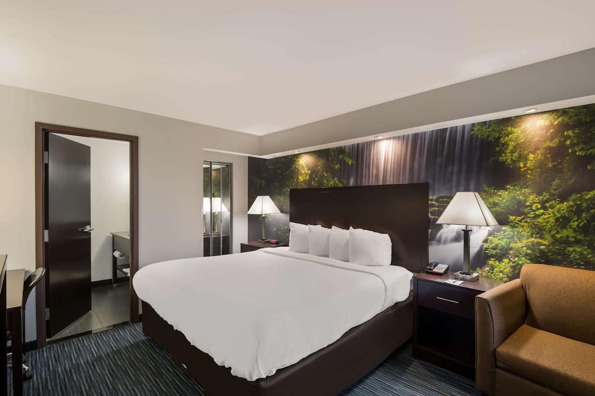 Quarto de hotel com uma cama grande, duas mesas de cabeceira com luminárias, uma cadeira e um mural na parede retratando uma cena de floresta.