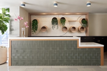 A modern interior with two grey armchairs, a large potted plant, a colorful wall art piece, and a large window with a view of the outside. at Kimpton Hotel Enso by IHG