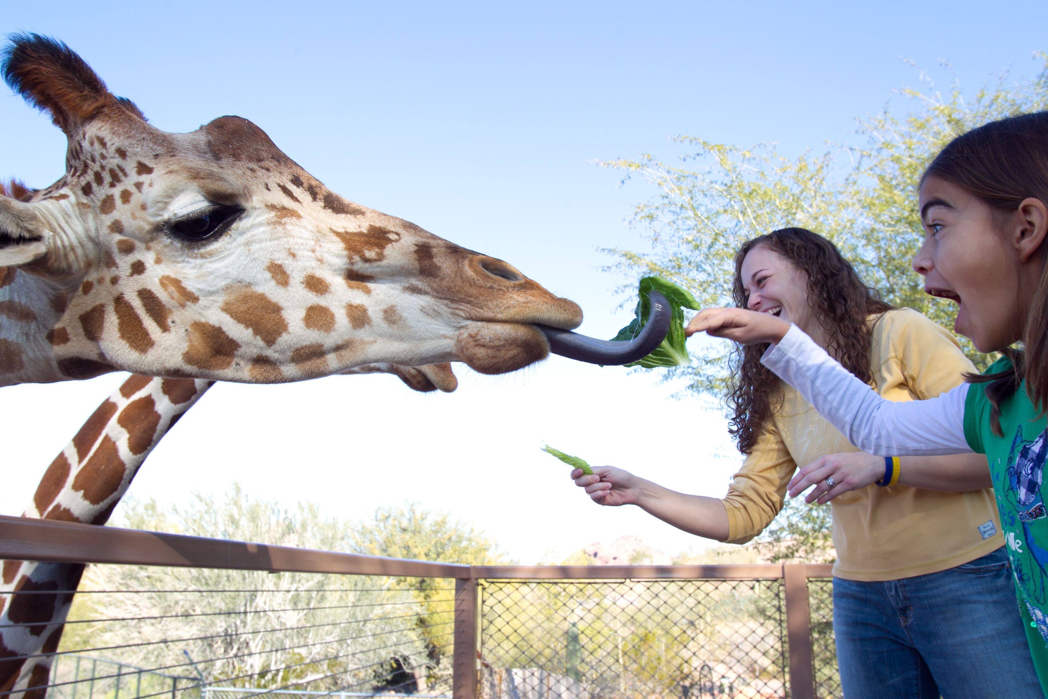 Photo - Crowne Plaza Phoenix Airport - PHX by IHG