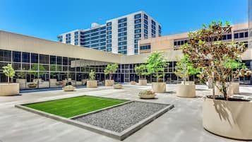 A modern courtyard with a central lawn, surrounded by potted plants and a building with large windows.